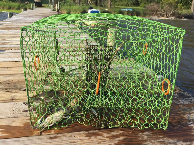 Crab Pots Southern Tides Fishing Charters & Tours